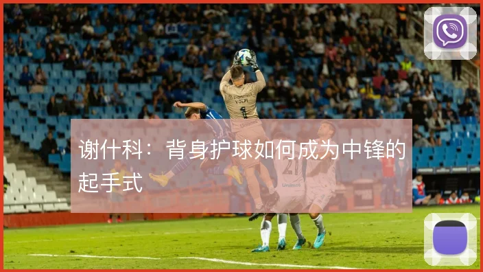 谢什科：背身护球如何成为中锋的起手式