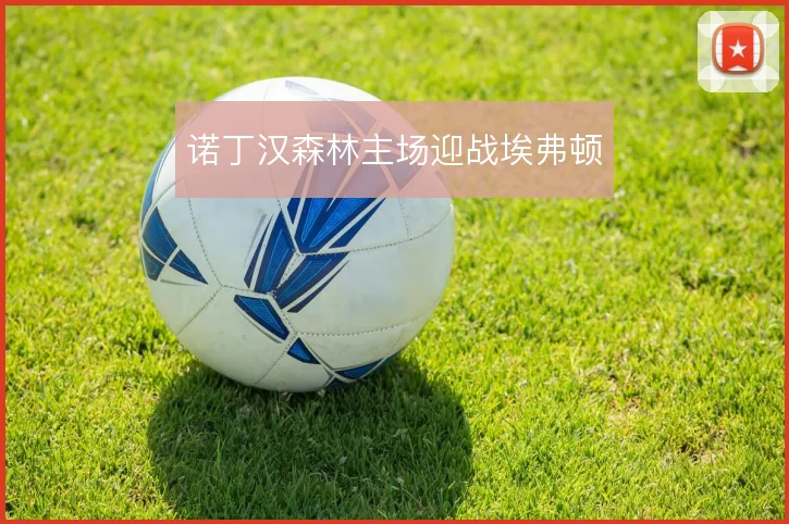 诺丁汉森林主场迎战埃弗顿