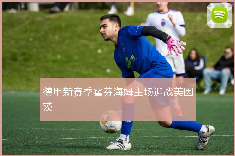 德甲新赛季霍芬海姆主场迎战美因茨