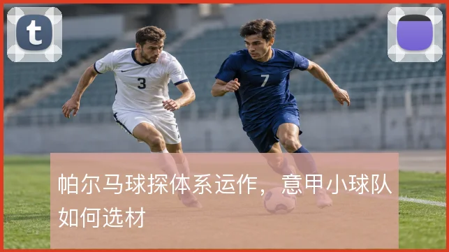 帕尔马球探体系运作，意甲小球队如何选材